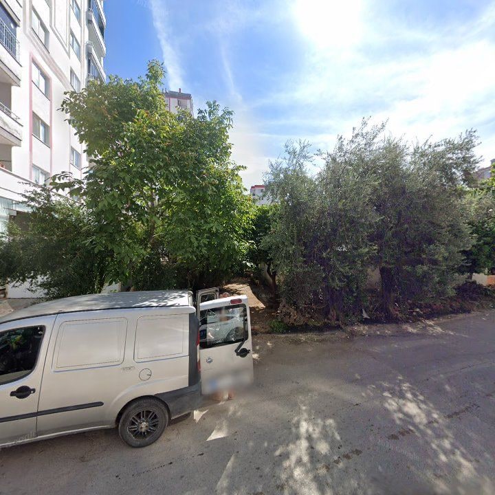 Fotoğraf 8