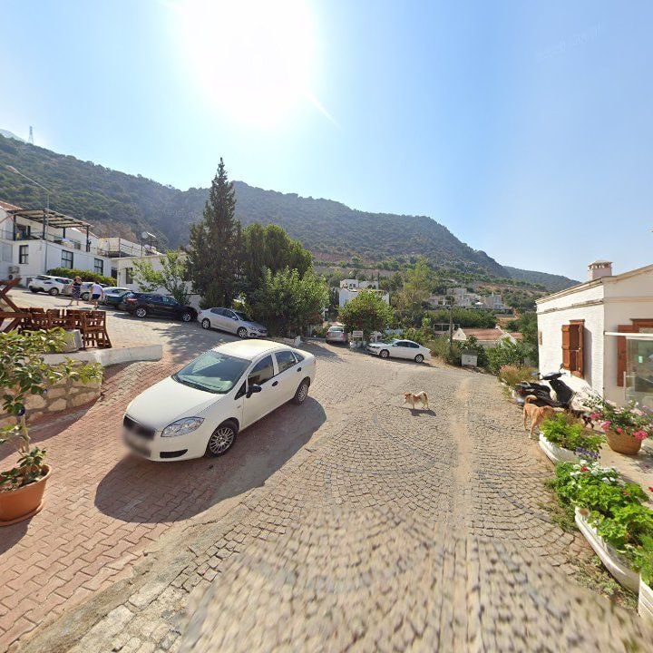 Fotoğraf 9