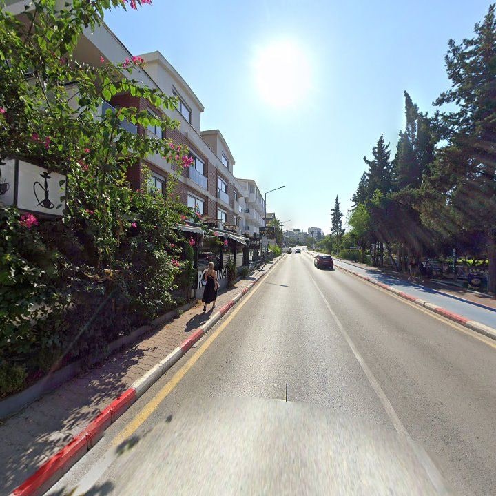 Fotoğraf 11