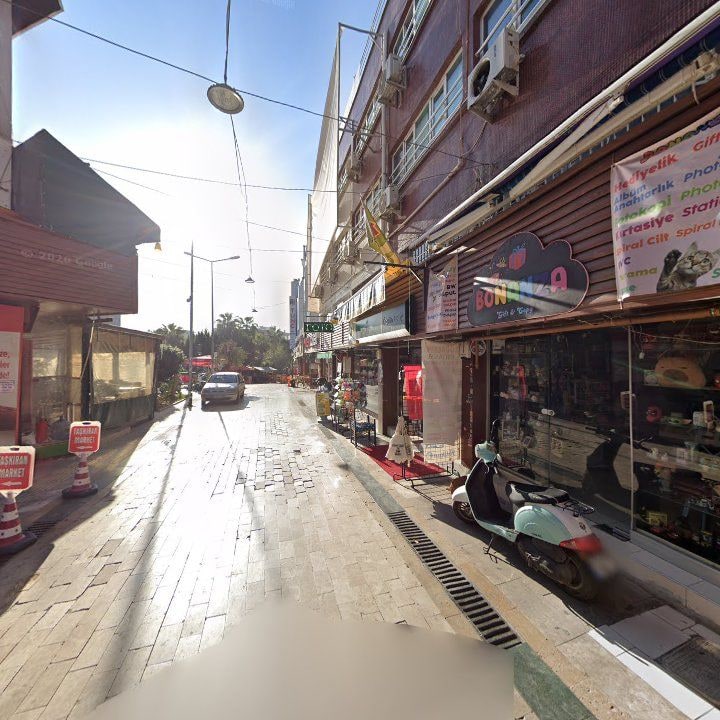 Fotoğraf 11