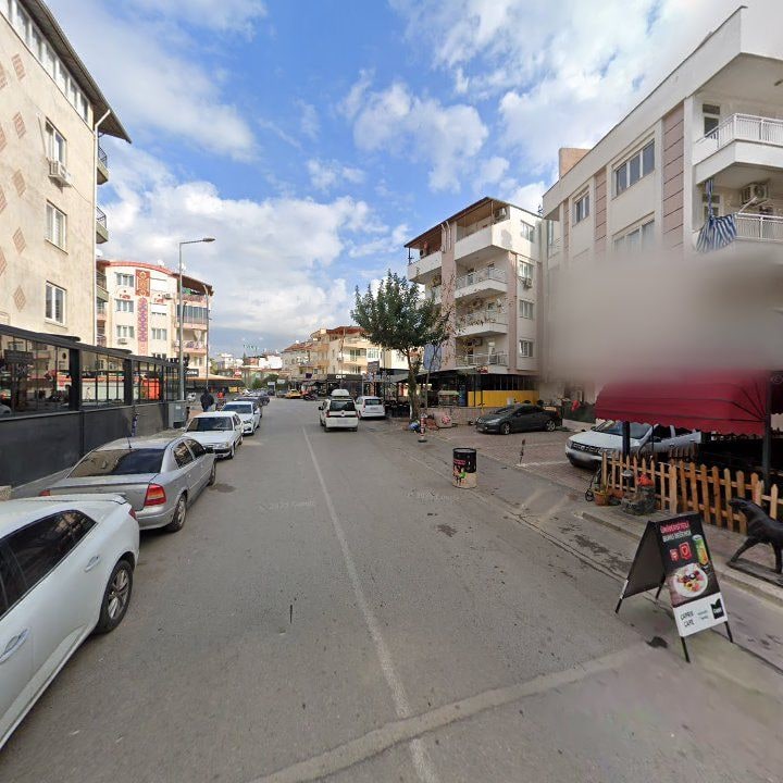 Fotoğraf 11