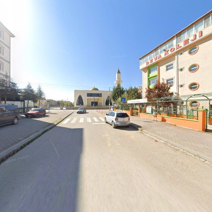 Fotoğraf 7
