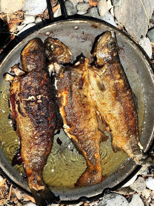 Bozdoğan