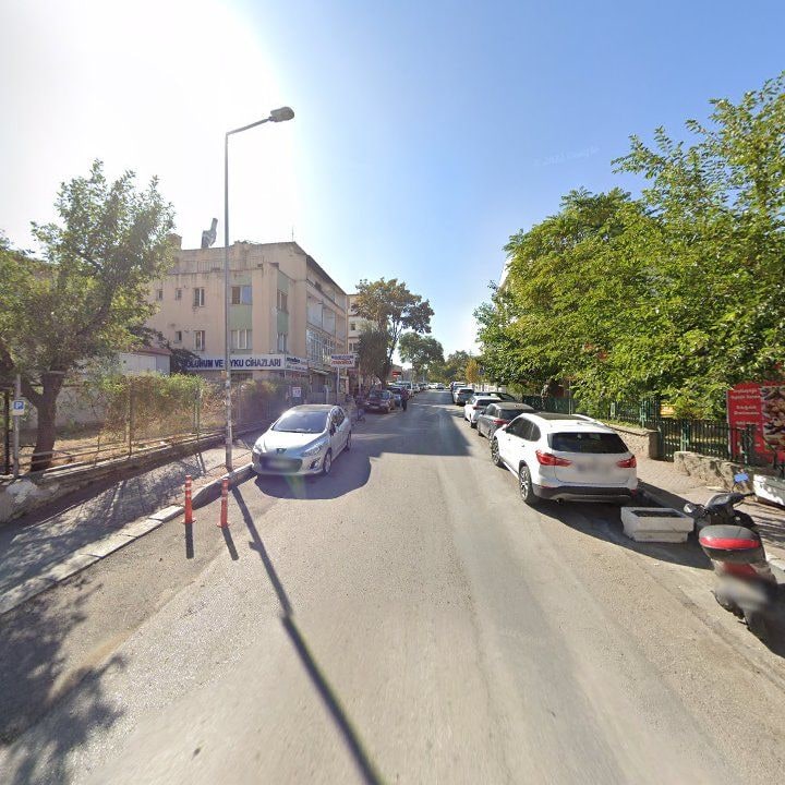 Fotoğraf 12