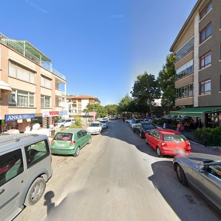 Fotoğraf 14