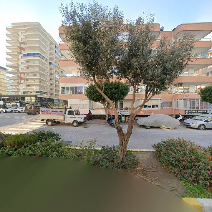 Fotoğraf 11