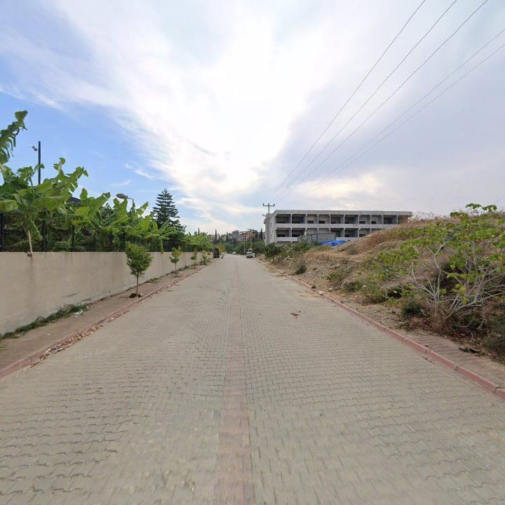 Fotoğraf 7