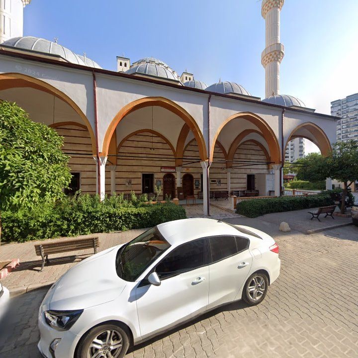 Fotoğraf 10