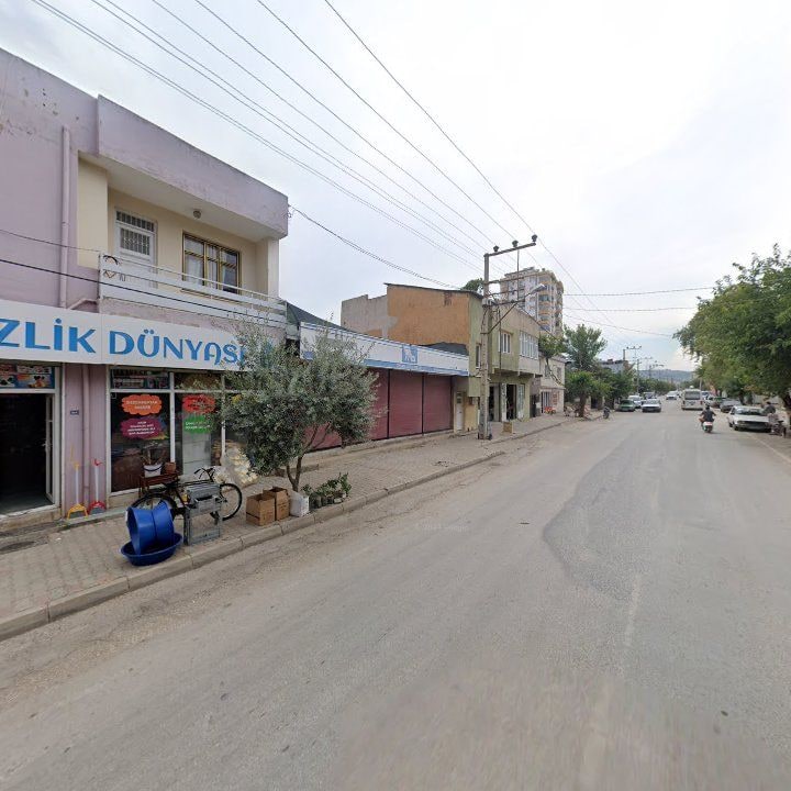 Fotoğraf 7