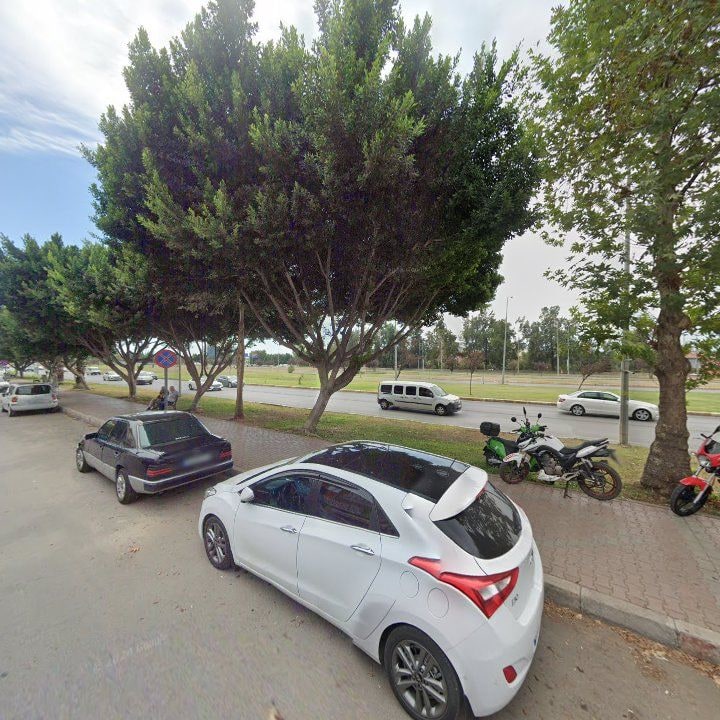 Fotoğraf 6