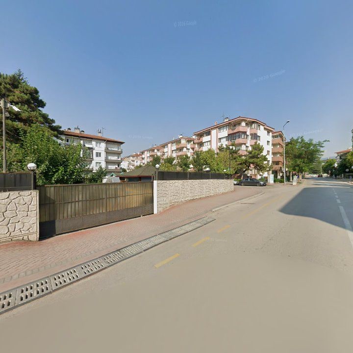 Fotoğraf 11