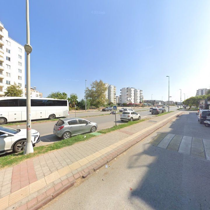 Fotoğraf 12