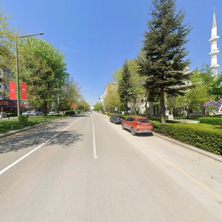 Fotoğraf 8