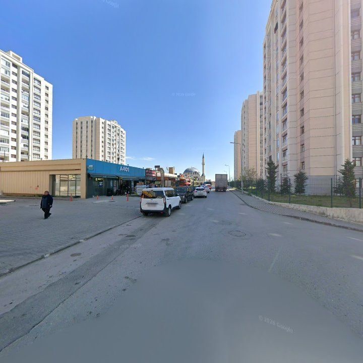 Fotoğraf 7
