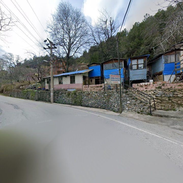 Fotoğraf 7