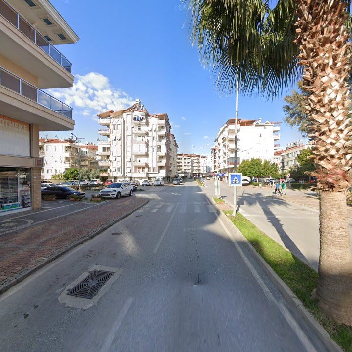 Fotoğraf 12