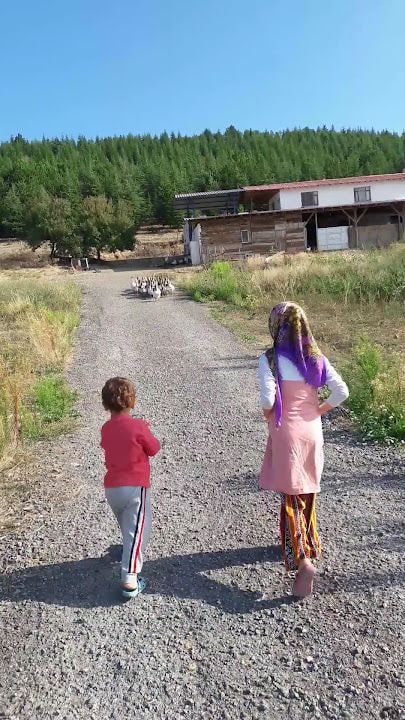 Bülbül Ana Yöresel Ürünler