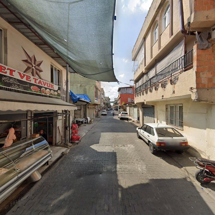 Fotoğraf 7