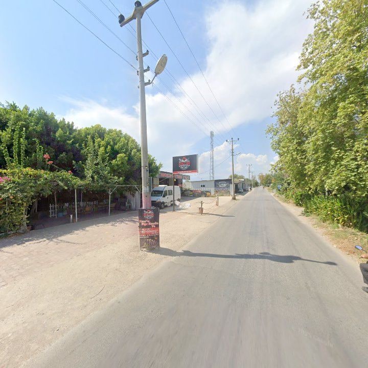 Fotoğraf 6