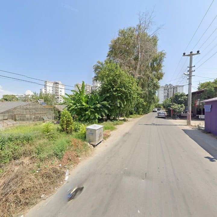 Fotoğraf 8