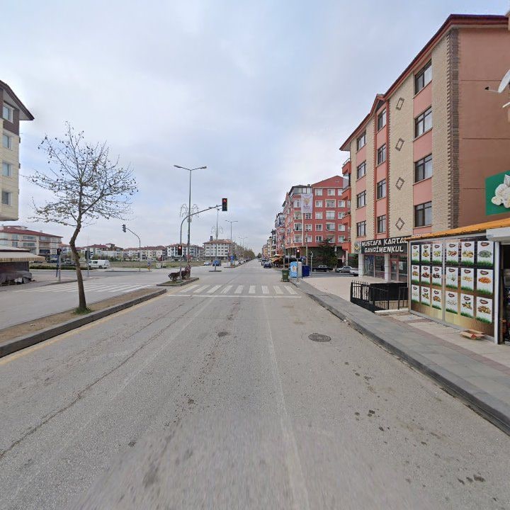Fotoğraf 9