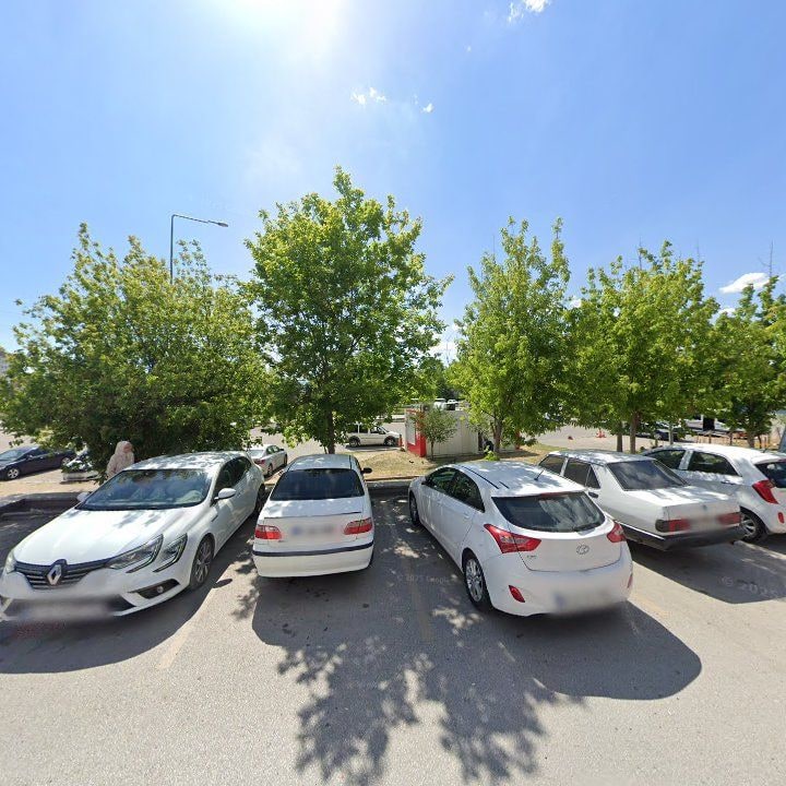 Fotoğraf 6