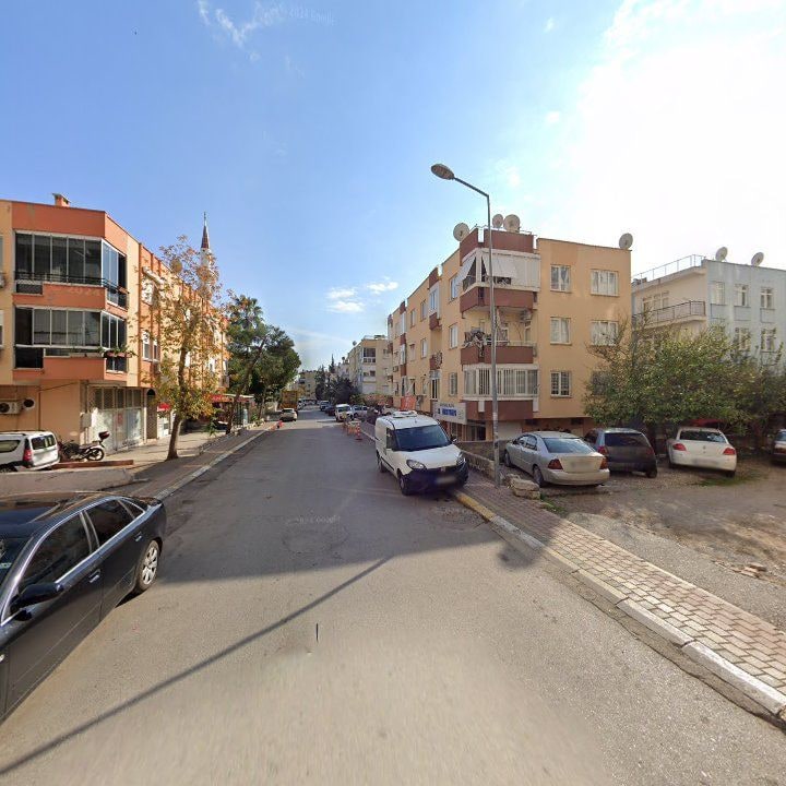 Fotoğraf 8