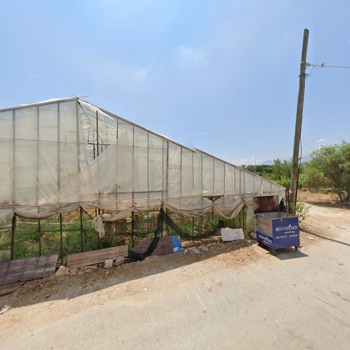 Fotoğraf 9