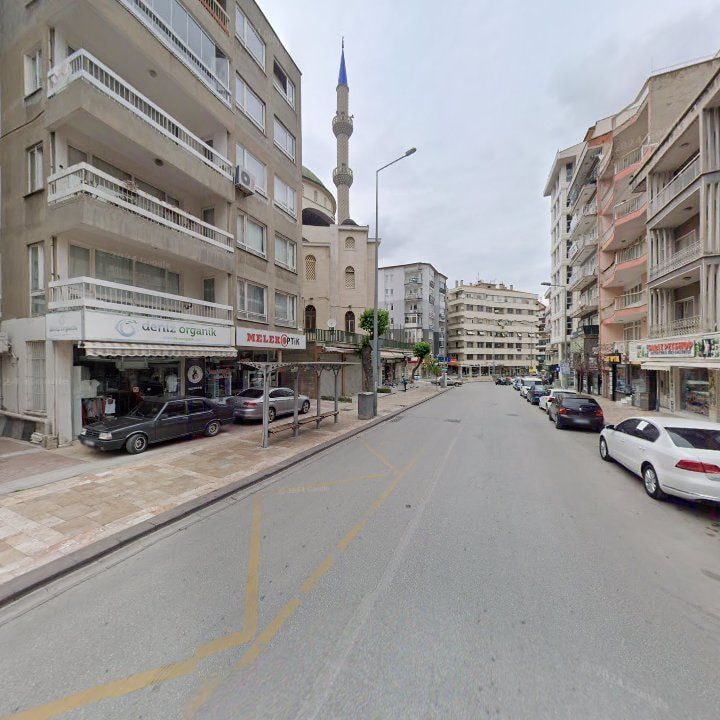 Fotoğraf 7