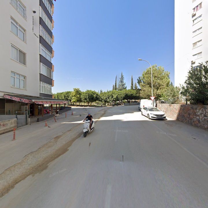 Fotoğraf 10