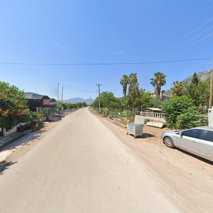 Fotoğraf 8