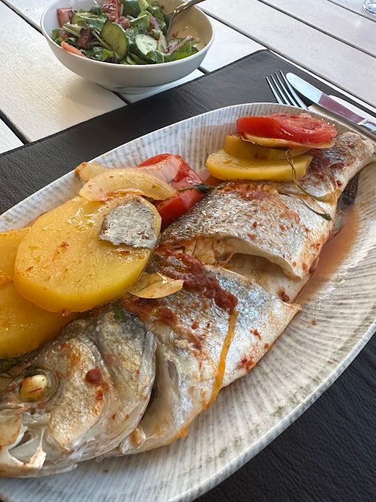 Fotoğraf 11