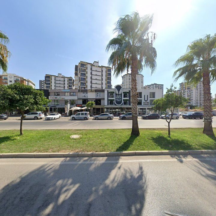 Fotoğraf 10