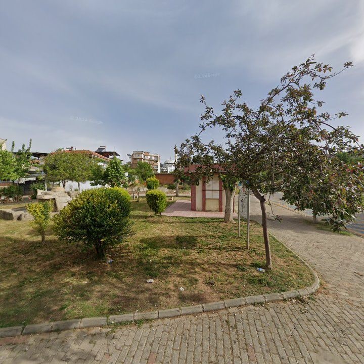 Fotoğraf 10