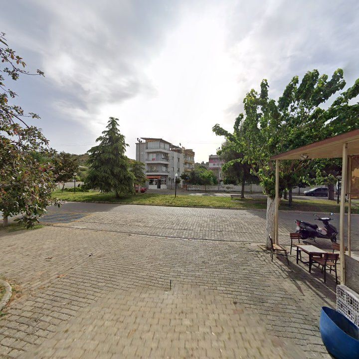 Fotoğraf 11