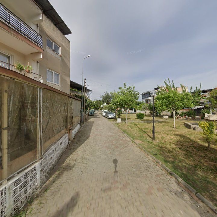 Fotoğraf 9