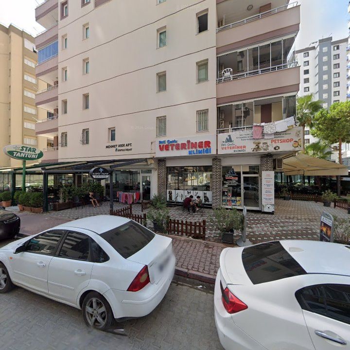 Fotoğraf 8