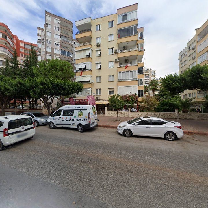 Fotoğraf 6