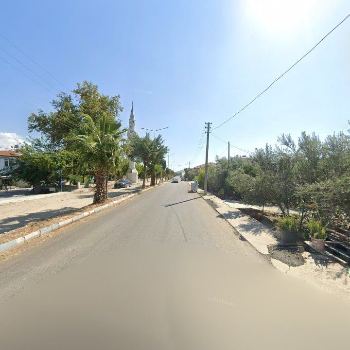 Fotoğraf 8