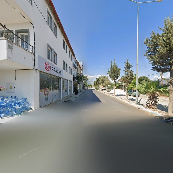 Fotoğraf 10