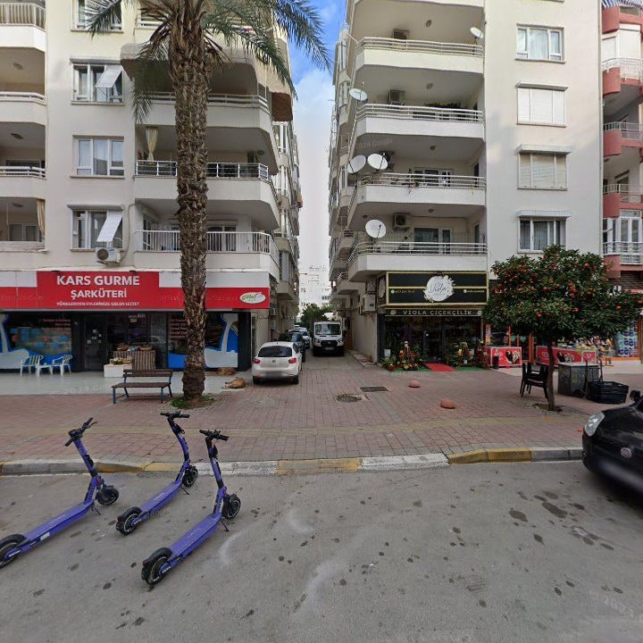 Fotoğraf 4