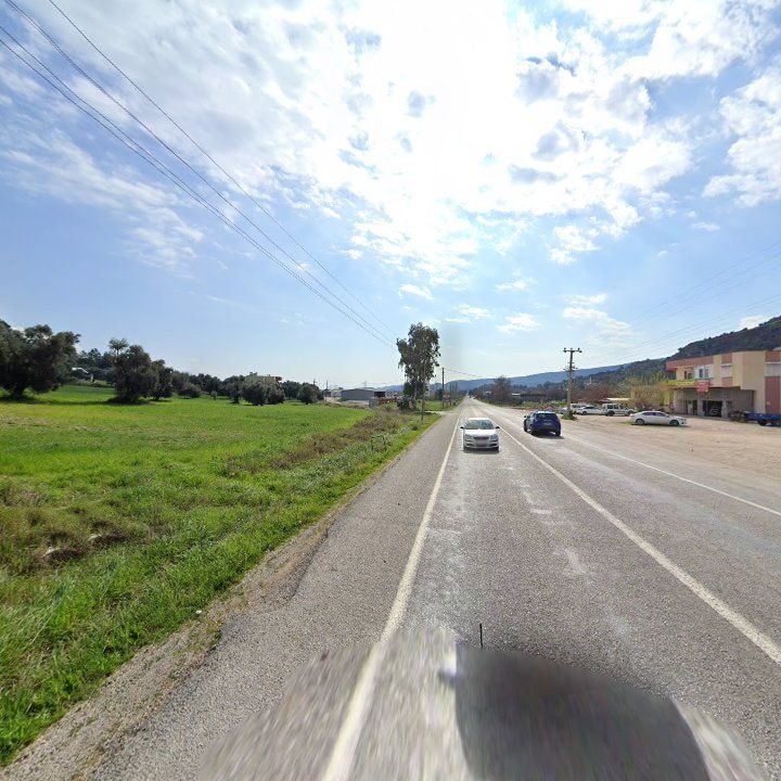 Fotoğraf 8