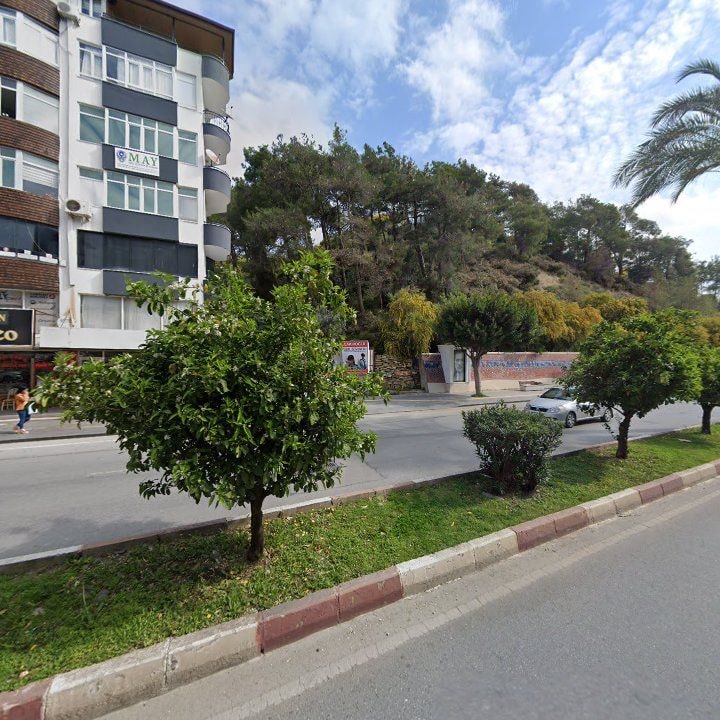 Fotoğraf 10