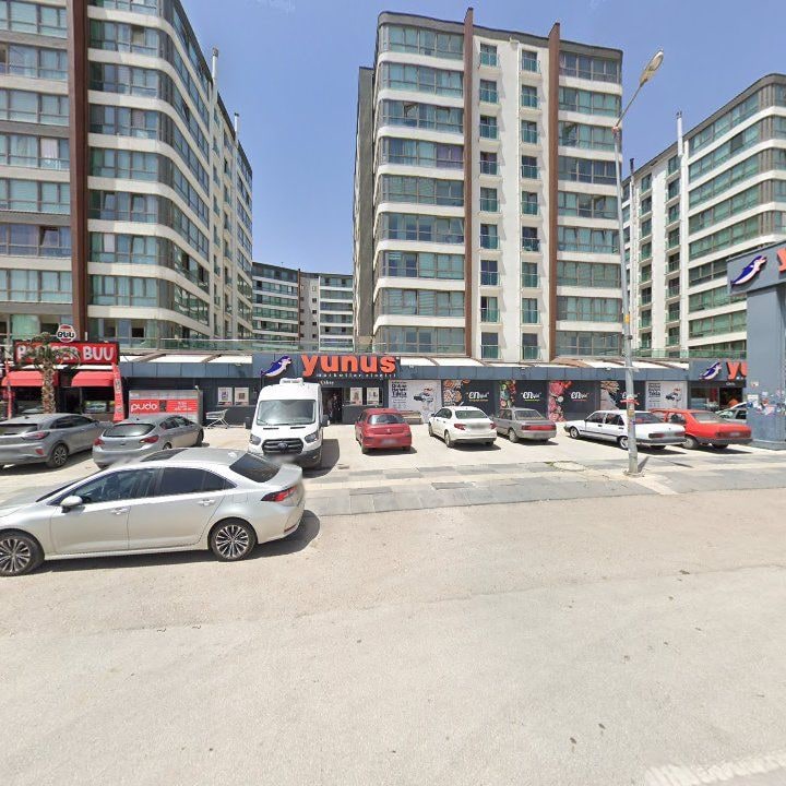 Fotoğraf 7
