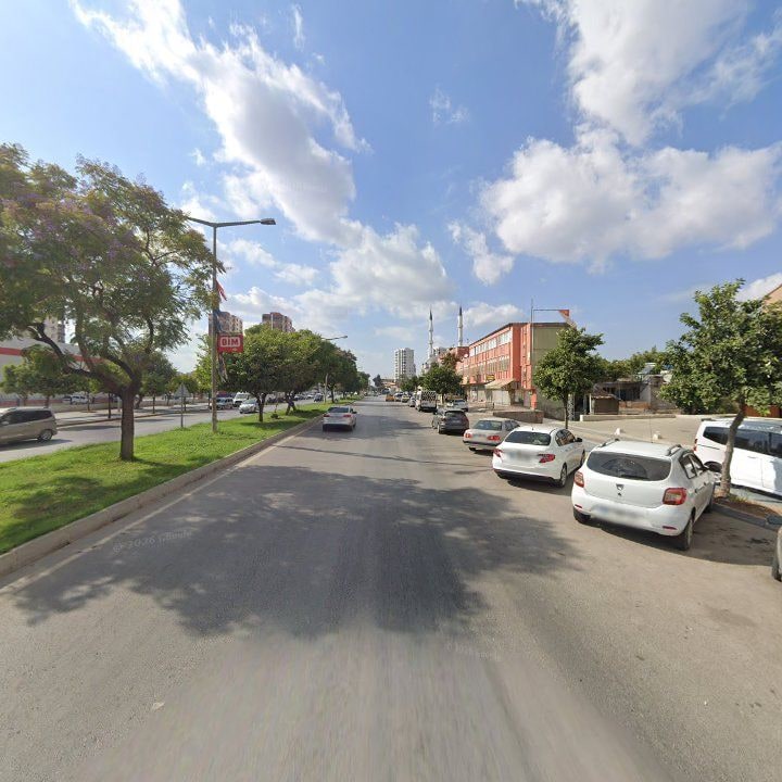 Fotoğraf 8