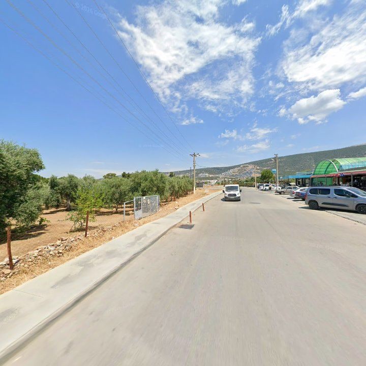 Fotoğraf 11
