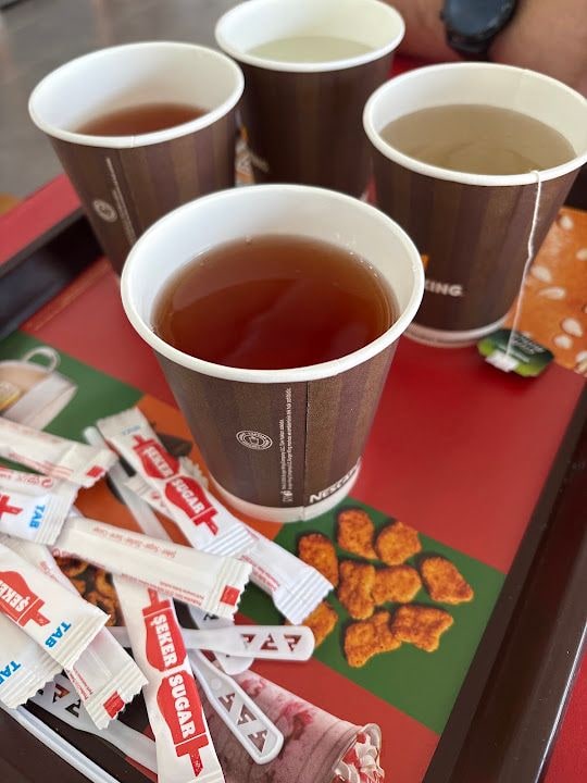 Burger King - Aliya İzzet Begoviç