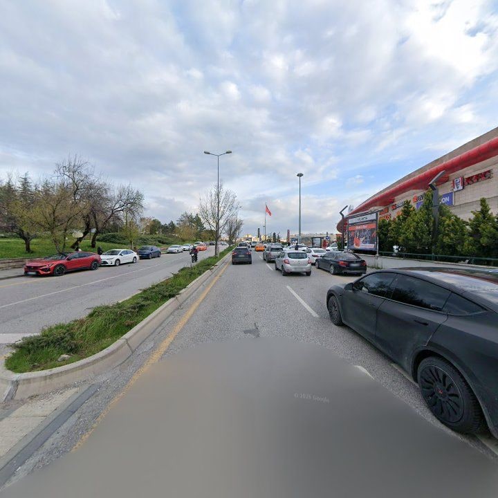 Fotoğraf 8