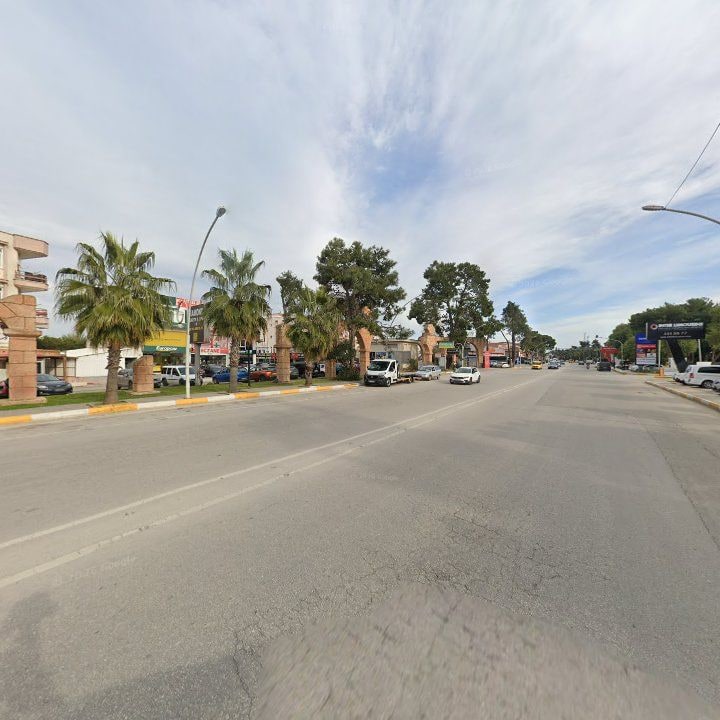 Fotoğraf 12