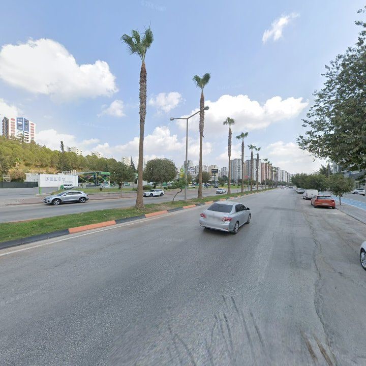 Fotoğraf 8